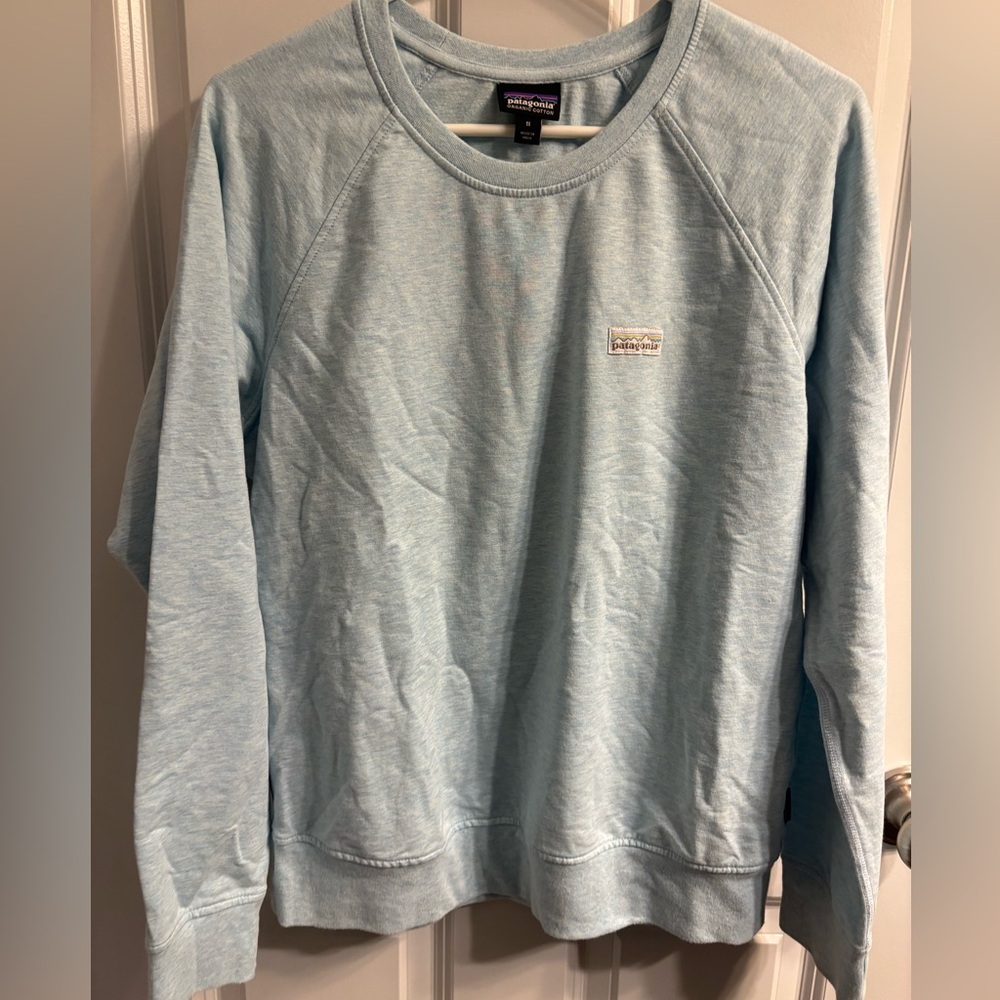 Light Blue Patagonia Crew Sweatshirt